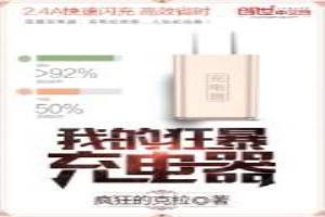 我的狂暴充電器